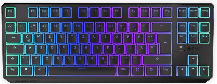 Actual product image Endorfy Thock TKL (DE, Wireless, Cable)