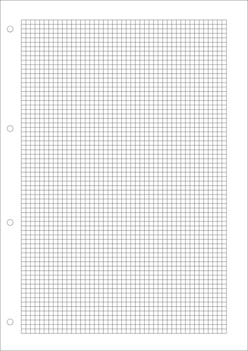 Actual product image Naturaline Ring binder inserts A4 (A4, Checked)