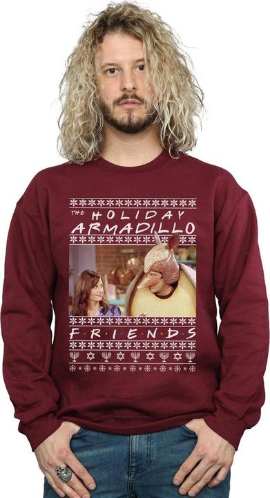 Image du produit Friends - Sweat FAIR ISLE HOLIDAY ARMADILLO - Homme (M)