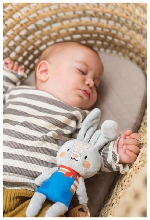 Image du produit Taf Toys Lapin Rylee