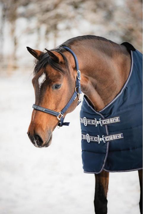 Immagine prodotto Horse Guard Sandra