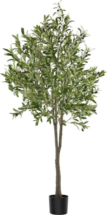 tectake Olivenbaum Oleand (180 cm)