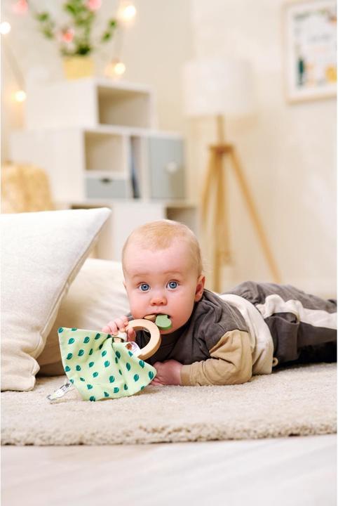 Produktbild Eichhorn Baby HIPP Holzbeissring mit Schmusetuch