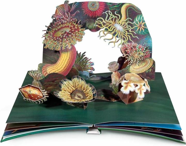 Produktbild Wunderwesen aus der Tiefe. Ernst Haeckel (Deutsch, Ernst Haeckel, 2015)