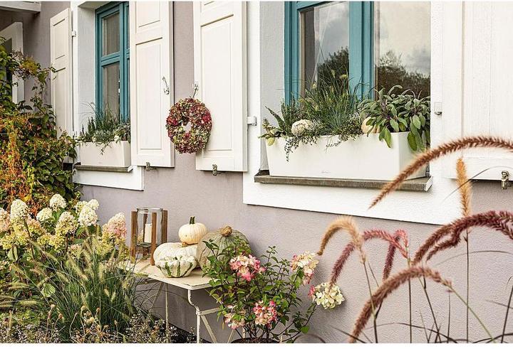 Produktbild Lechuza Balconera Color 80 (79 cm)