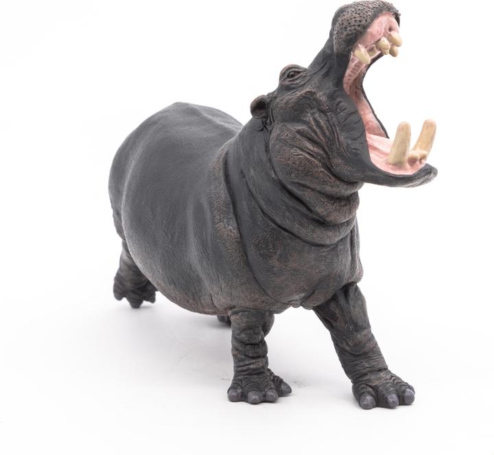 Actual product image Papo Hippo