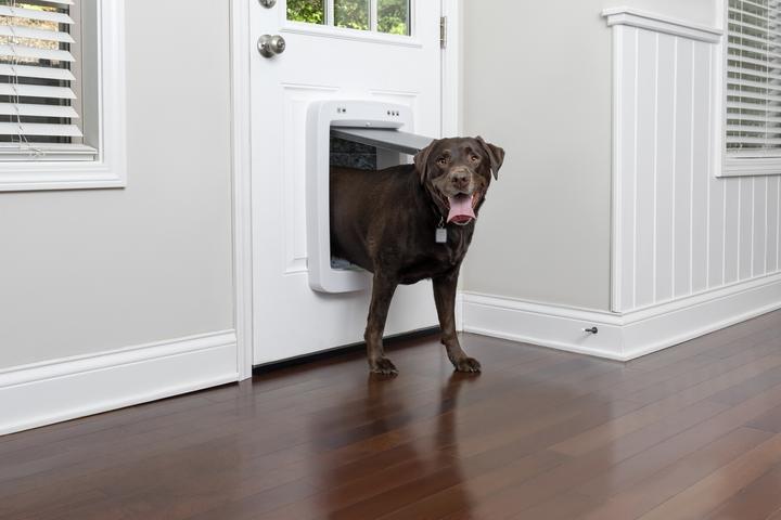 Produktbild PetSafe Smarte Haustiertüre