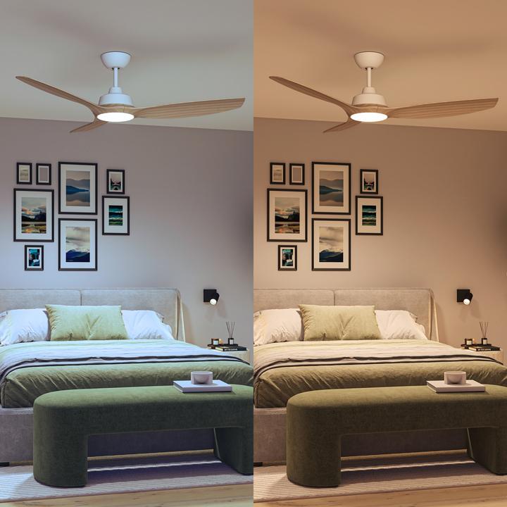 Immagine prodotto Philips Olas