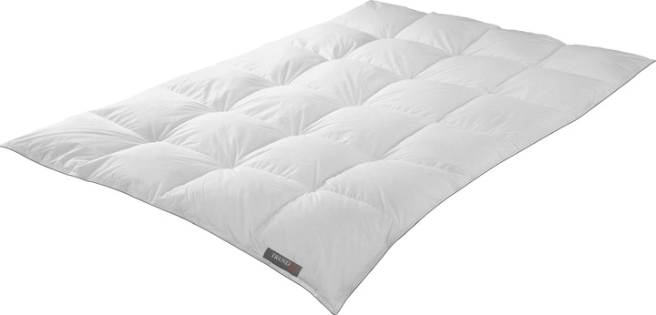 Produktbild TrendLine Daunenkassettendecke Comfort warm (1000 g, 155 x 220 cm)
