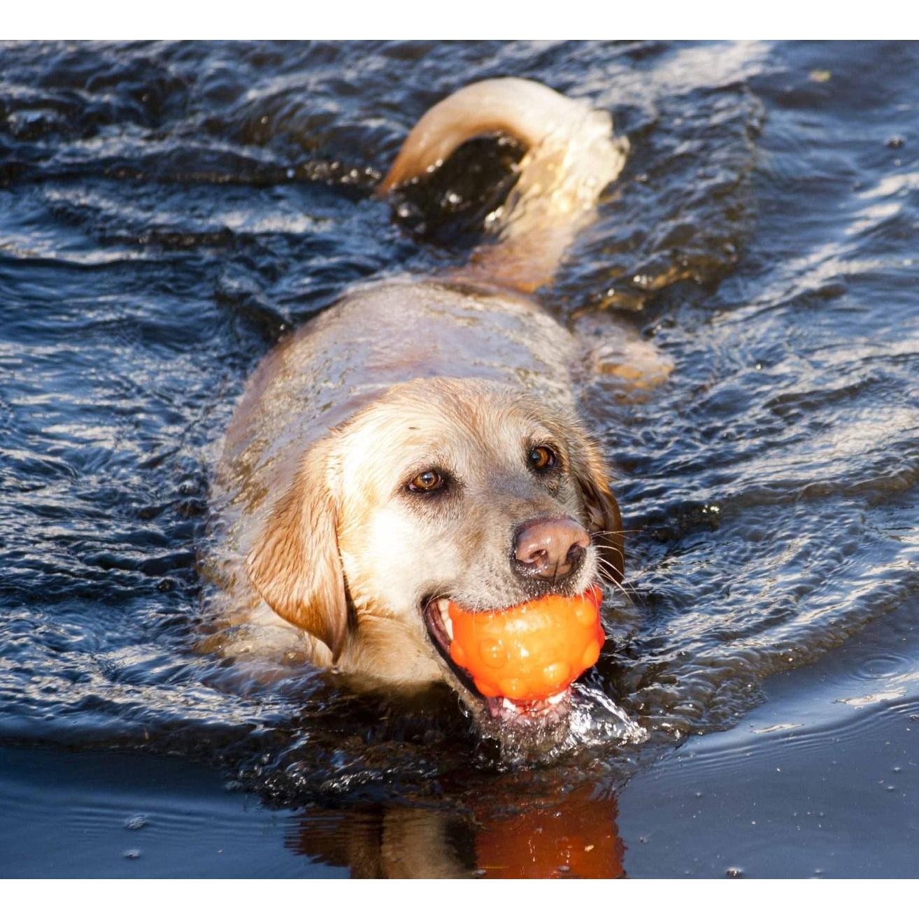 Thumbnail - Jolly Pets Jumper Ball Orange 10cm - (JOLL080N) (Hundespielzeug), Hundespielzeug