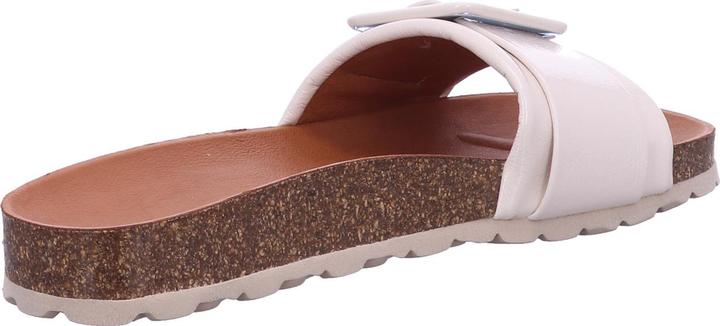 Immagine prodotto Verbenas Reiko (41)