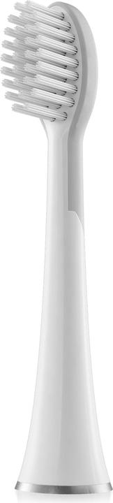 Immagine prodotto Whitewash Set di 2 SW-2011 standard per SW-2000 (2 x)