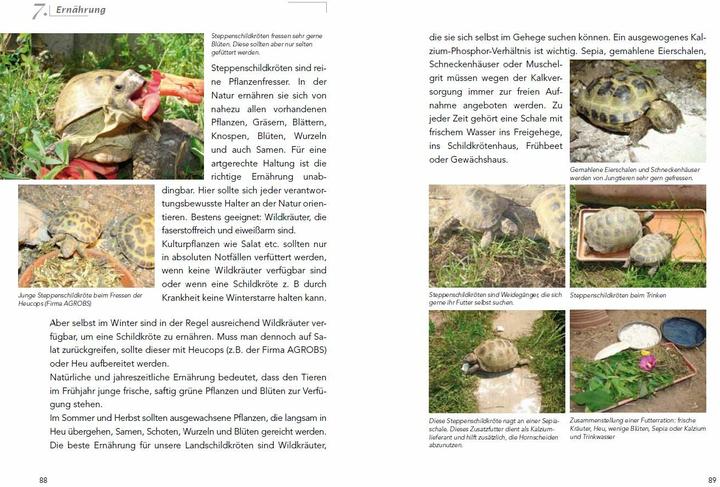 Immagine prodotto Die Haltung der Steppenschildkröten Agrionemys horsfieldii (Tedesco, Barile Ude, 2013)