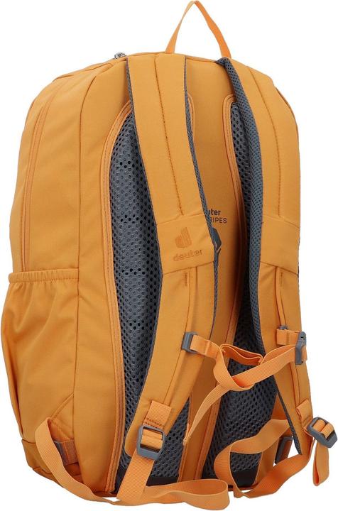 Actual product image Deuter Gogo (25 l)