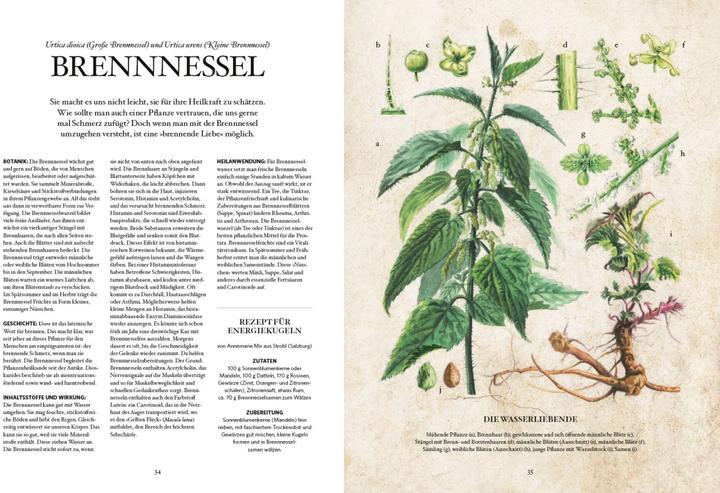 Produktbild Die Natur-Apotheke (Deutsch, Miriam Wiegele, 2018)