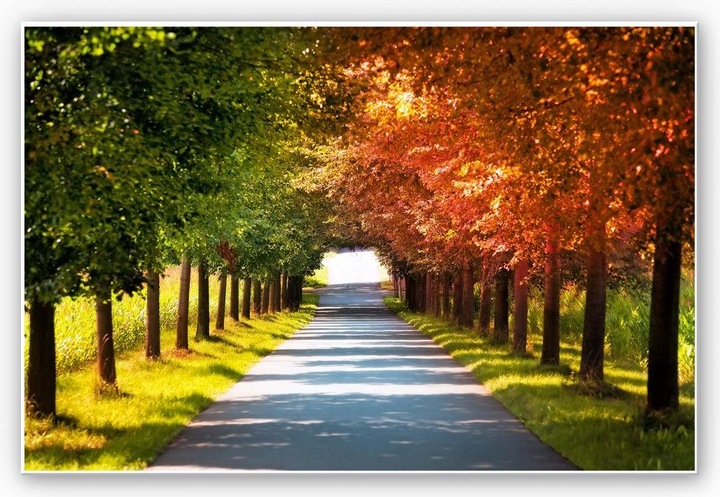 Image du produit Trenddeko Automne (60 x 40 cm)