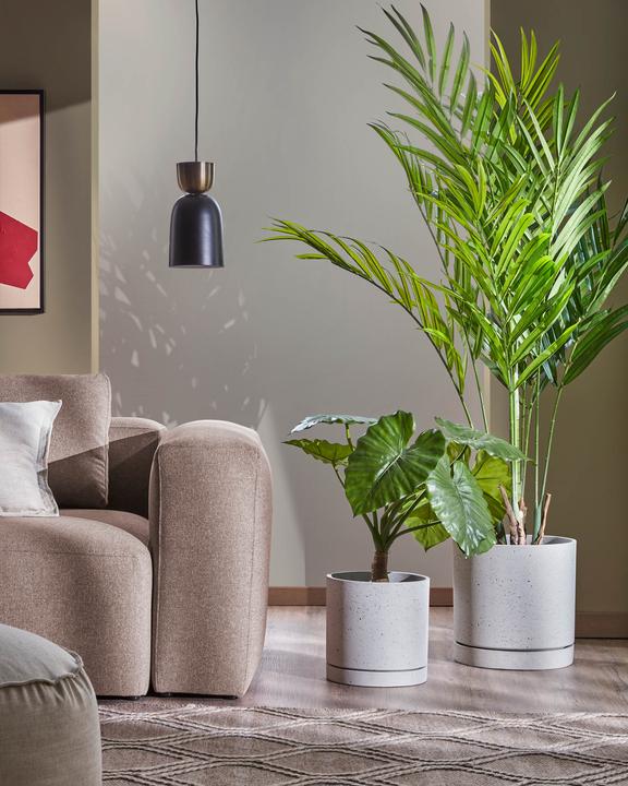 Image du produit Kave Home Palmera (179 cm)