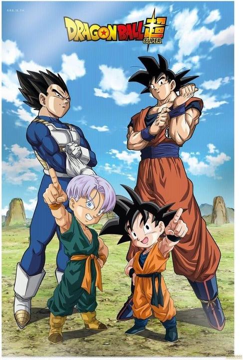 SD Toys Dragon Ball Super Battle of Gods 3D poster (38 x 58 cm)