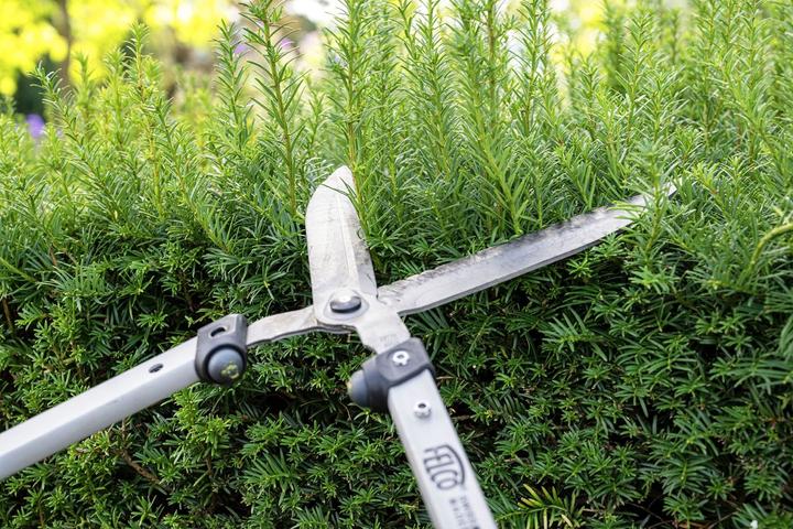 Produktbild Felco 250-57 (Manuell)