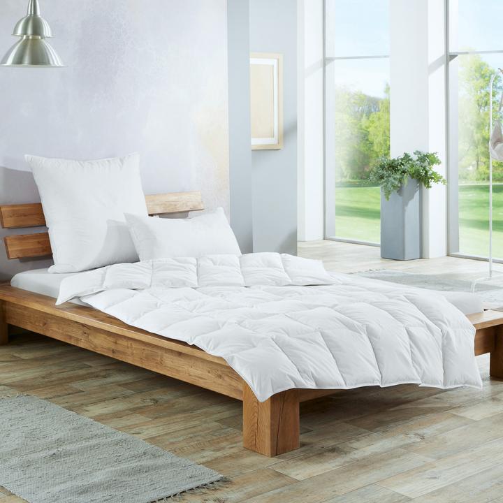 Image du produit Redbest Minneapolis (420 g, Duvet, 135 x 200 cm)
