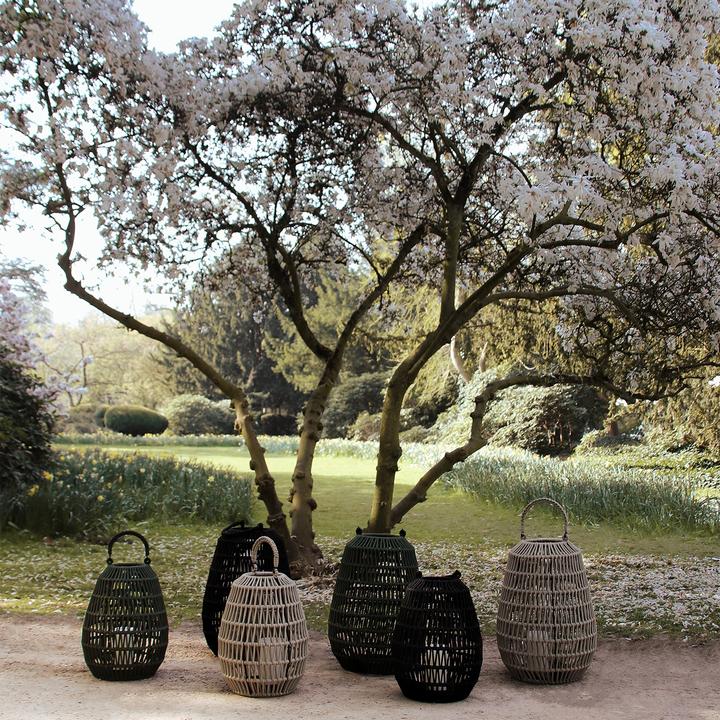 Actual product image Lambert Cahaya