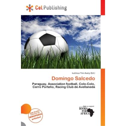 Domingo Salcedo, Ratgeber