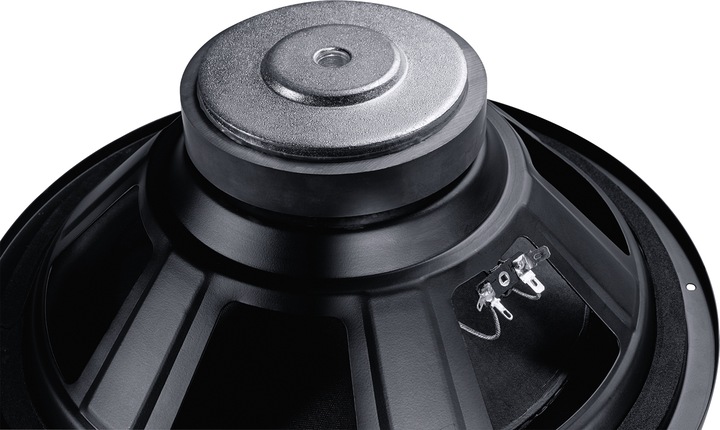 Actual product image Magnat Alpha RS 12 (1 pcs., 240 W)