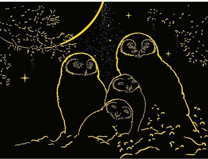 Produktbild Ravensburger Eulen im Mondschein (500 Teile)