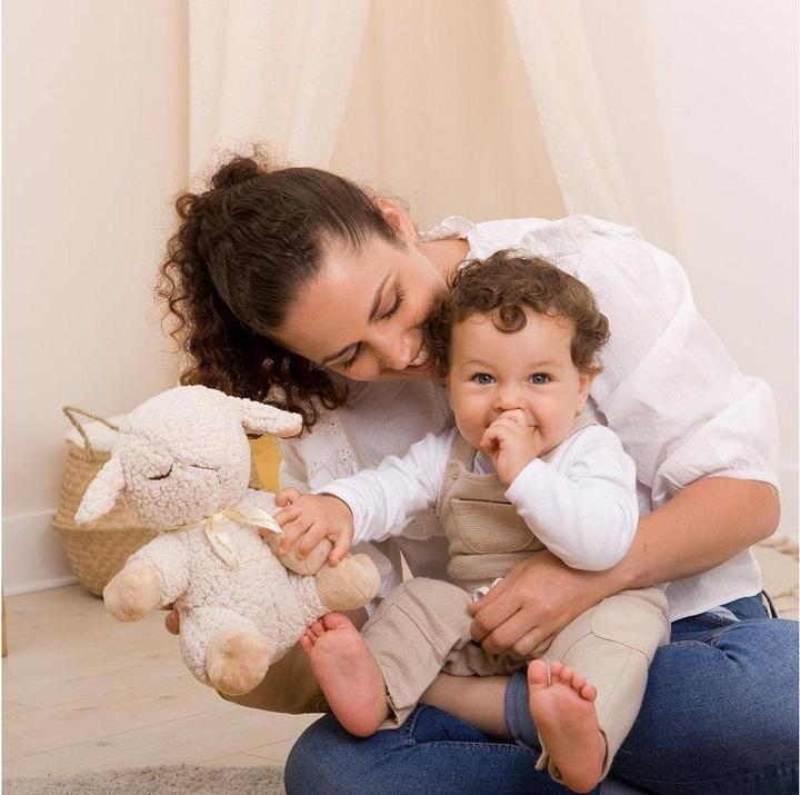 Produktbild Cloud B Kuscheltier mit MusikSleep Sheep® (17.78 cm)