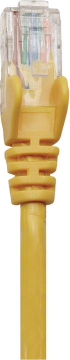 Image du produit Intellinet Câble de raccordement (U/UTP, CAT6, 0.25 m)