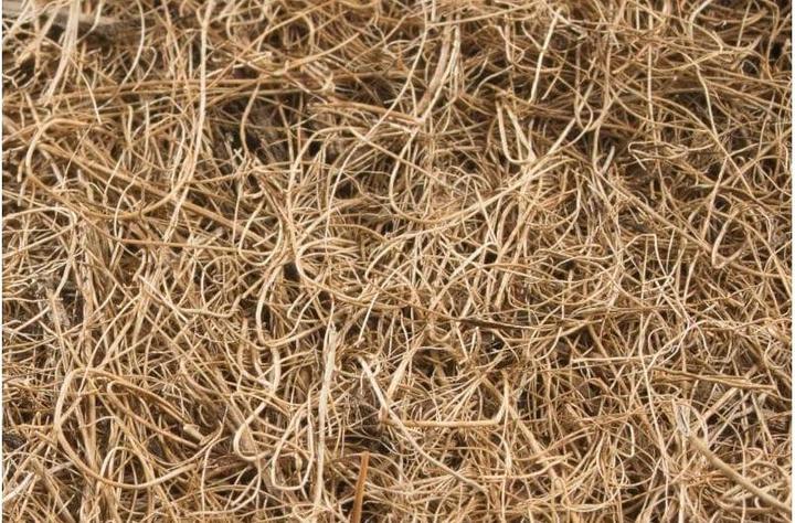 Produktbild Windhager Kokosschutz-Scheibe