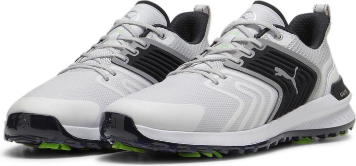 Puma IGNITE Ascend