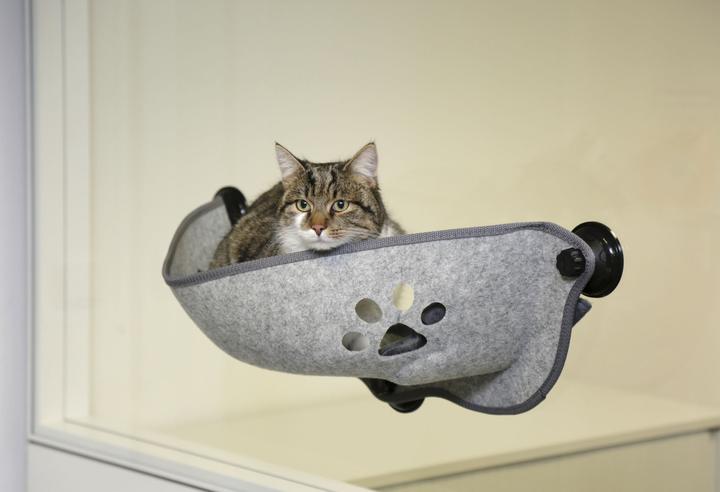 Actual product image Oster Sunny Seat (Cat)