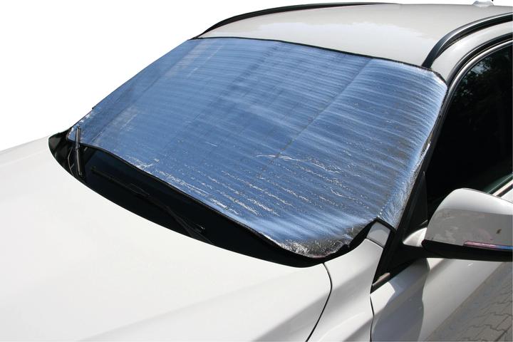 Actual product image IWH Sun visor