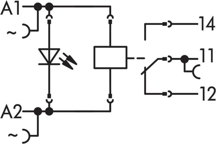 Actual product image Wago Plug-in socket (Relay socket)