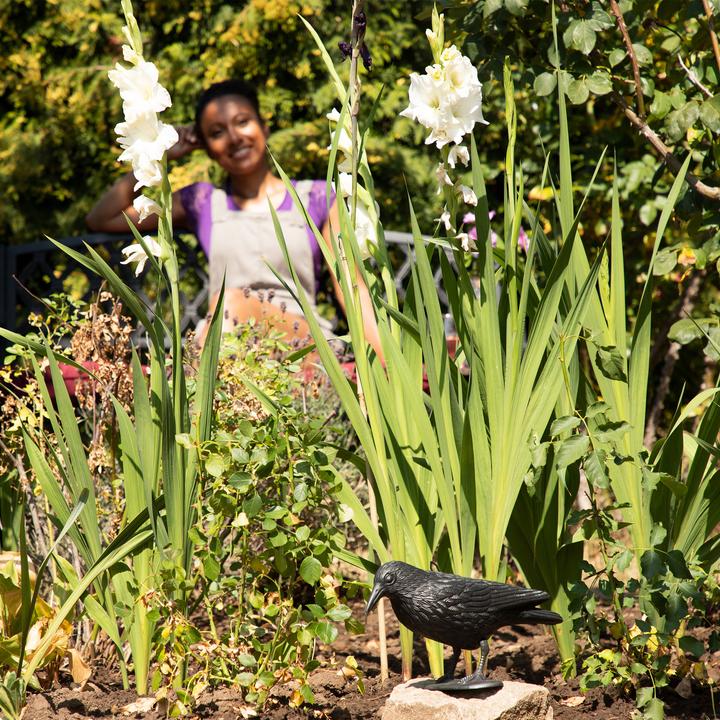 Produktbild Relaxdays Vogelschreck