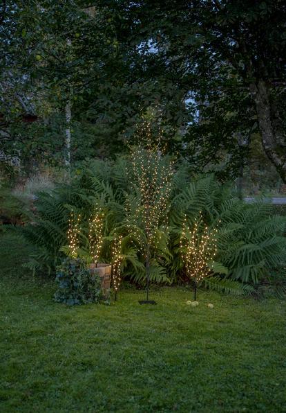 Produktbild Star Trading Decorativer Baum Reedy