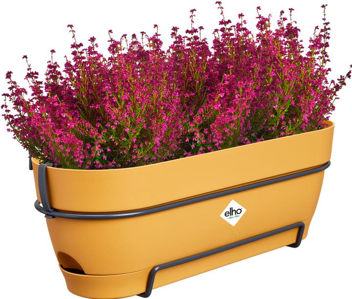 Image du produit Elho Vibia Campana Balcon Allin1 (50.40 x 26 x 17 cm)