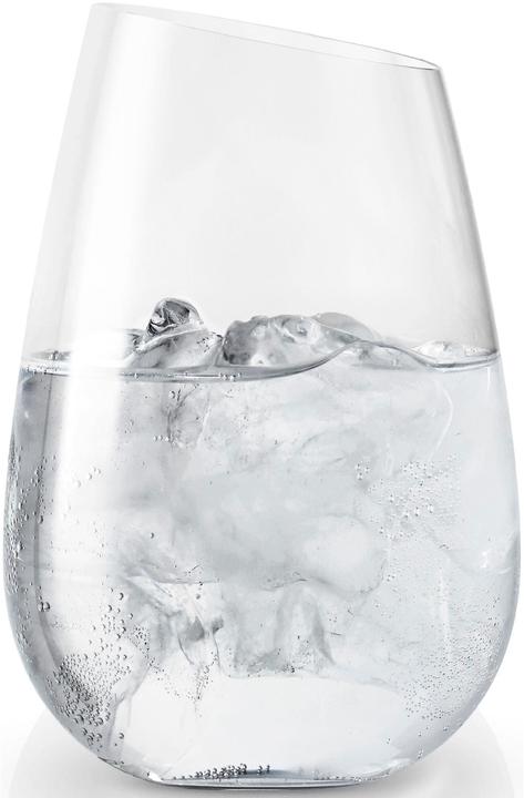 Immagine prodotto Eva Solo Vetro (0.48 l, 1x)