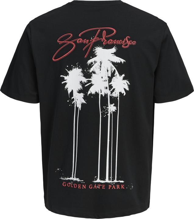 Image du produit Jack & Jones Jorbradley Goldengate Tee Ss C.N Stmss25 (M)