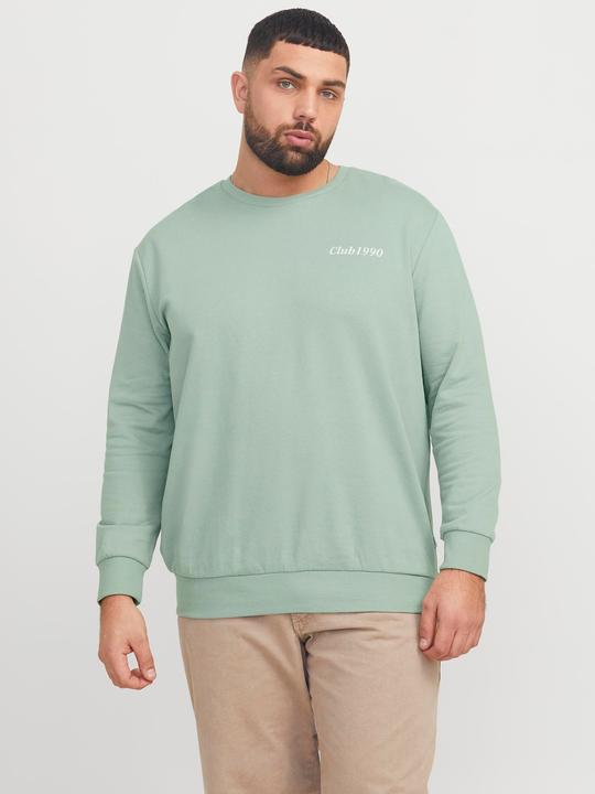 Produktbild Jack & Jones Plus Size Gedruckt Sweatshirt Sweatshirt (4XL)