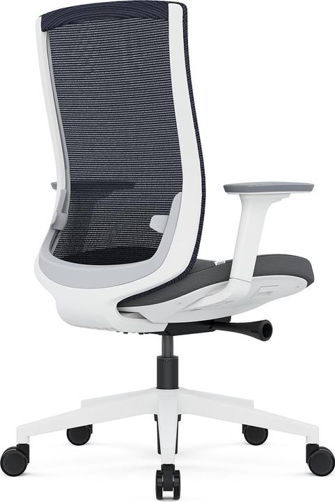 Actual product image ofinto Ergo