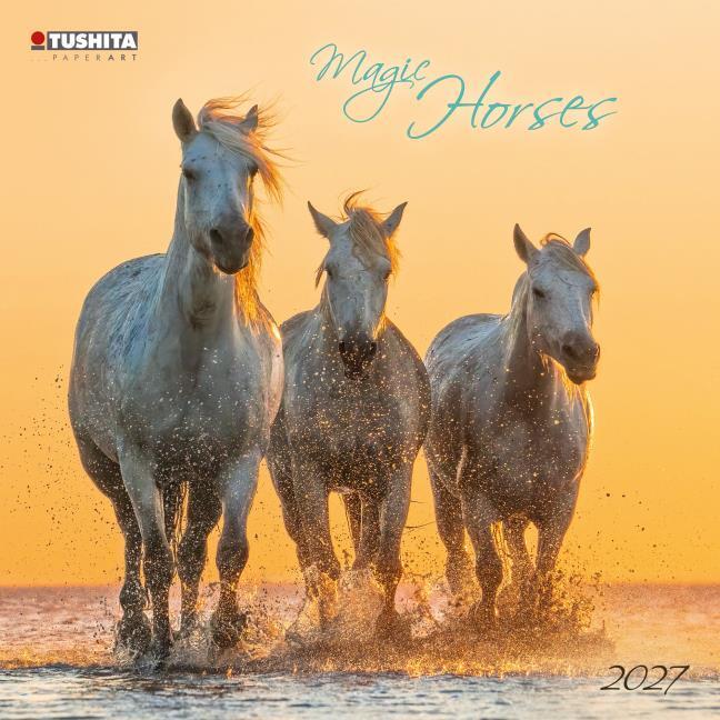 Produktbild MagicHorses2027