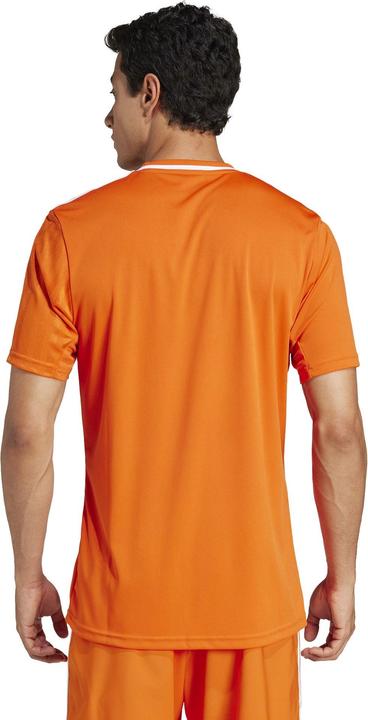 Actual product image adidas Campeon 25 jersey (XL)