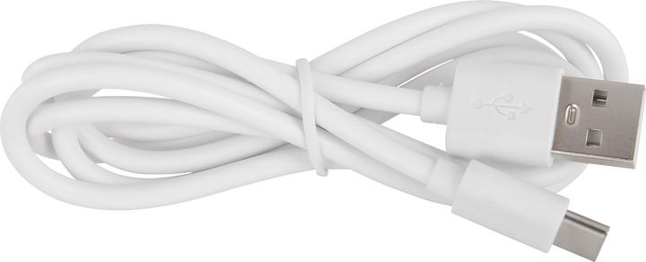 Actual product image Globo Gregoir (310 lm)