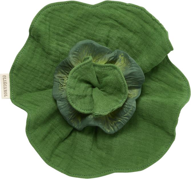 Produktbild Oli and Carol Mini Doudou - Teether Kendall the Kale