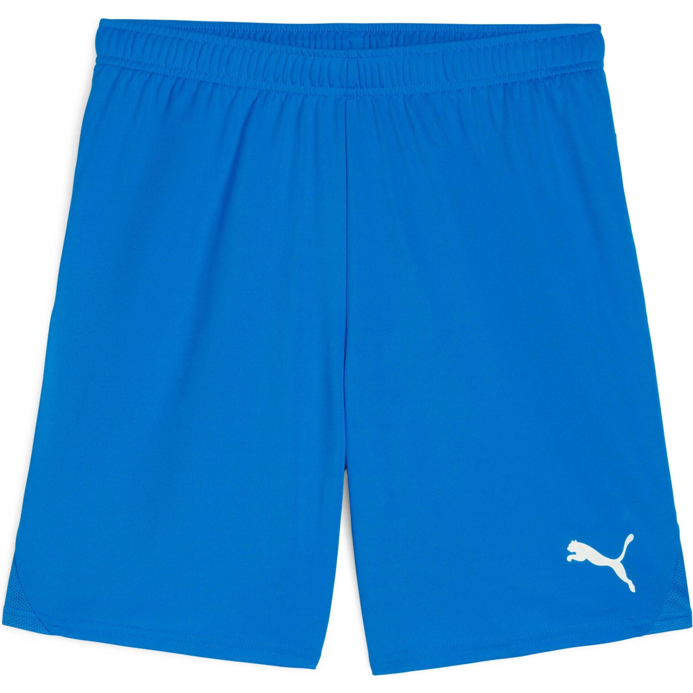 Puma, Herren, Sporthose, teamGOAL Shorts (M), Blau, M