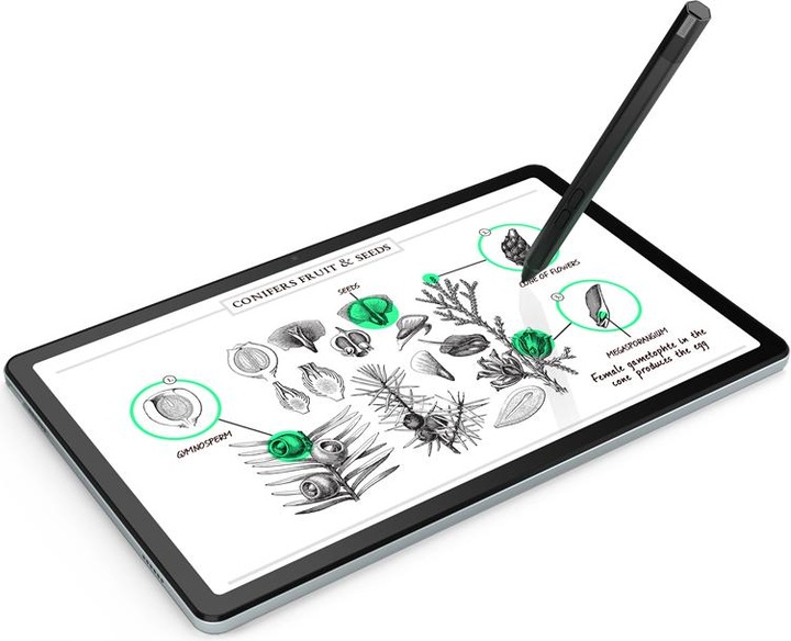 Produktbild Lenovo Tab M10 Plus (3. Gen) (nur WLAN, 10.61", 64 GB, Storm Grey)