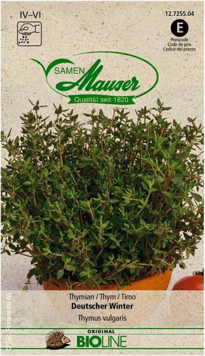 Produktbild Samen Mauser BIO Thymian Deutscher Winter (Kräutersamen)