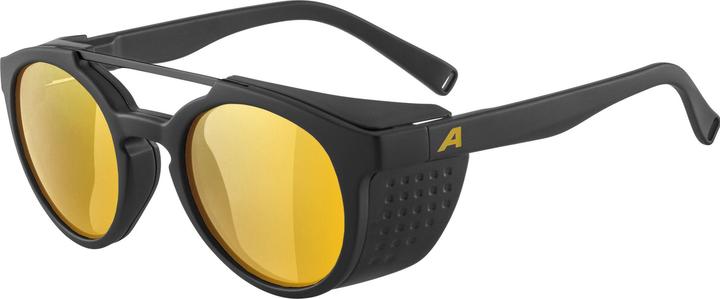 Produktbild Alpina Glace P